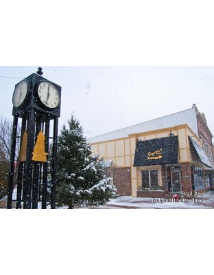 Brad Reed's Day 348 of 365 