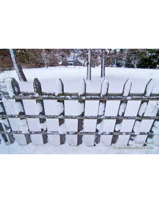 Todd Reed's Day 349 of 365 