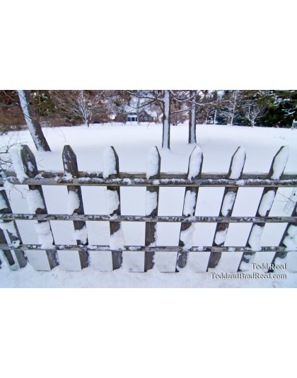 Todd Reed's Day 349 of 365 