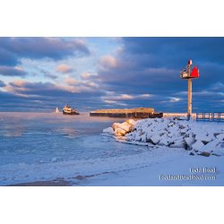 Todd Reed\'s Day 350 of 365 