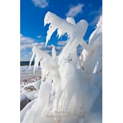 Todd Reed\'s Day 351 of 365 