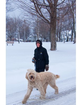 Todd Reed's Day 352 of 365 