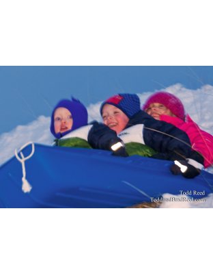 Todd Reed's Day 353 of 365 