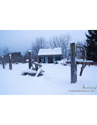 Brad Reed's Day 353 of 365 