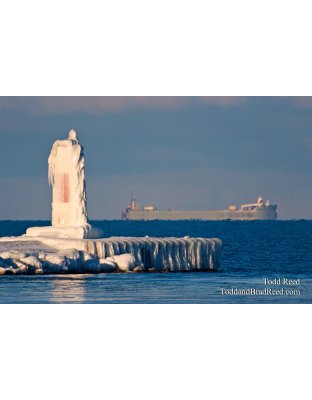 Todd Reed's Day 356 of 365 