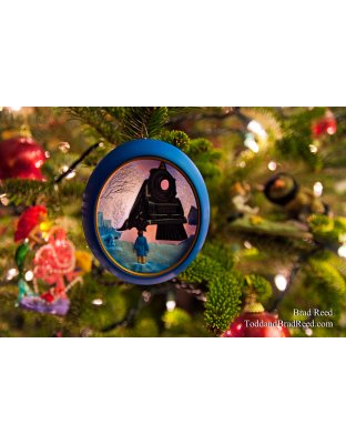 Brad Reed's Day 357 of 365 