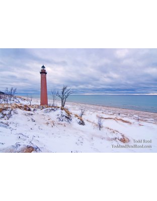 Todd Reed's Day 358 of 365 