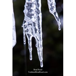 Brad Reed\'s Day 358 of 365 