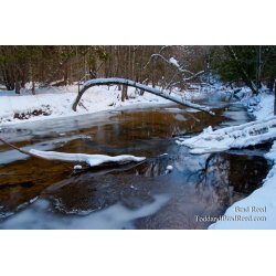 Brad Reed\'s Day 360 of 365 