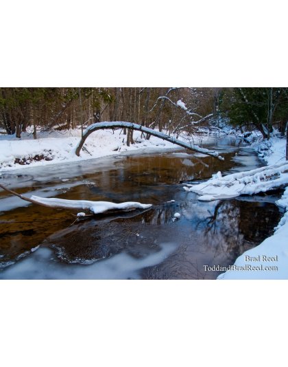 Brad Reed's Day 360 of 365 