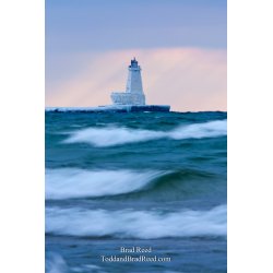 Brad Reed\'s Day 361 of 365 