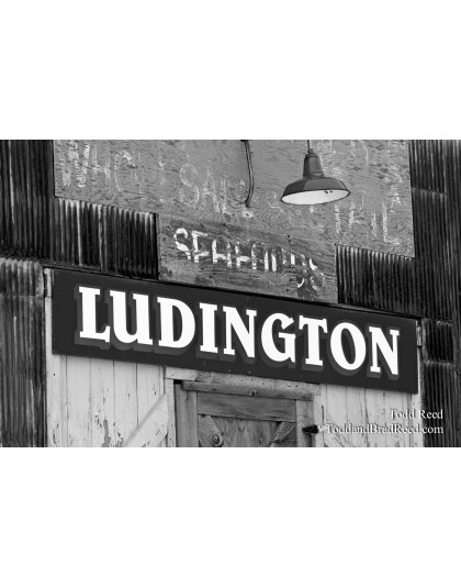 Todd Reed's Day 362 of 365 