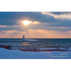 Brad Reed\'s Day 362 of 365 