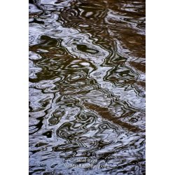 Brad Reed\'s Day 364 of 365 