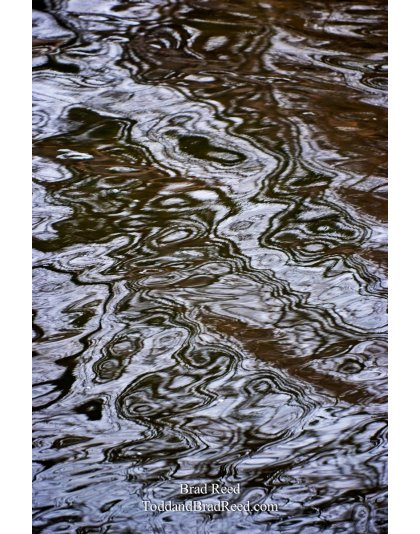 Brad Reed's Day 364 of 365 