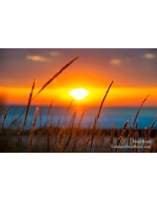 Michigan Warms My Soul