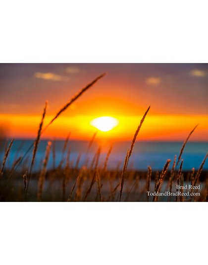 Michigan Warms My Soul