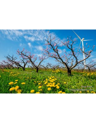 Christofferson Farms