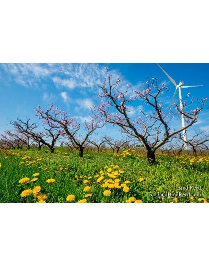 Christofferson Farms