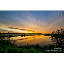The Golden Sunrise