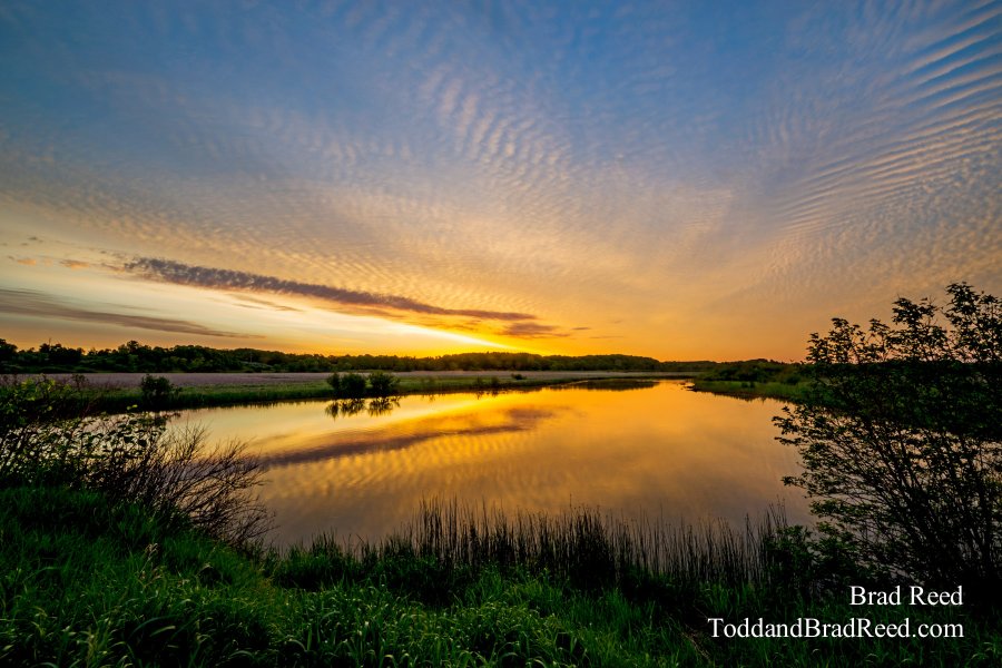 The Golden Sunrise