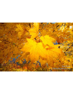 Perfect Imperfections