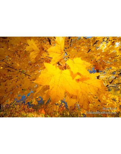 Perfect Imperfections