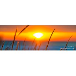 Michigan Warms My Soul - Panoramic