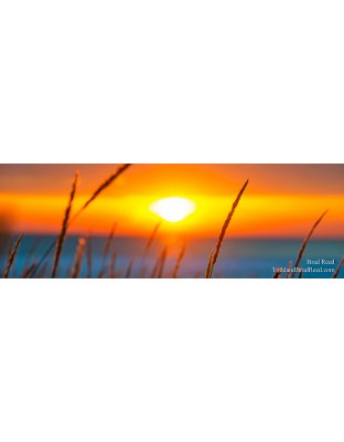 Michigan Warms My Soul - Panoramic