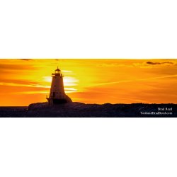 Ludington Trails - Panoramic