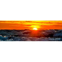 Set Free - Panoramic