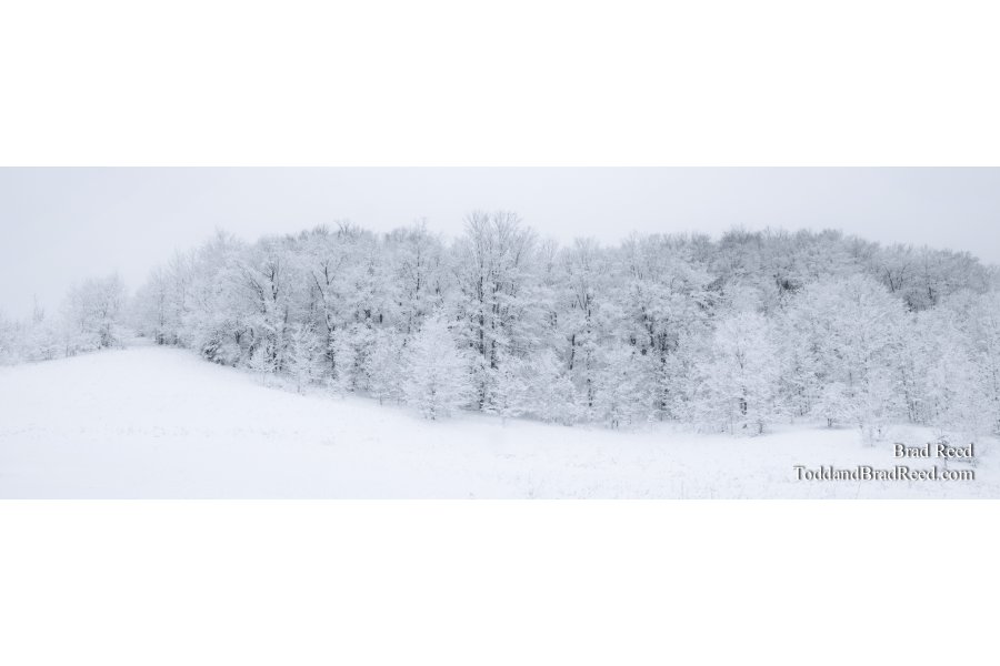 Drawn In - Panoramic