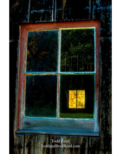 Window on Autumn
