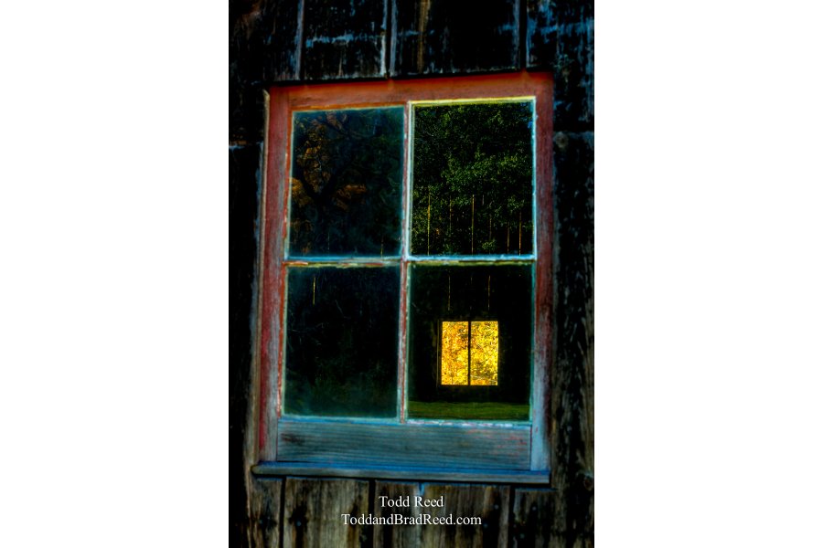 Window on Autumn