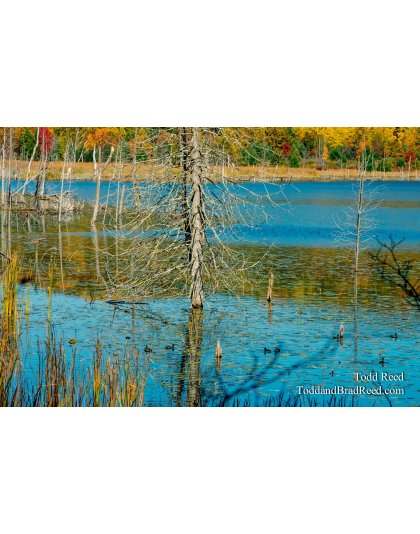 The Beauty of Change