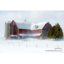 A Mid Winter Day\'s Dream