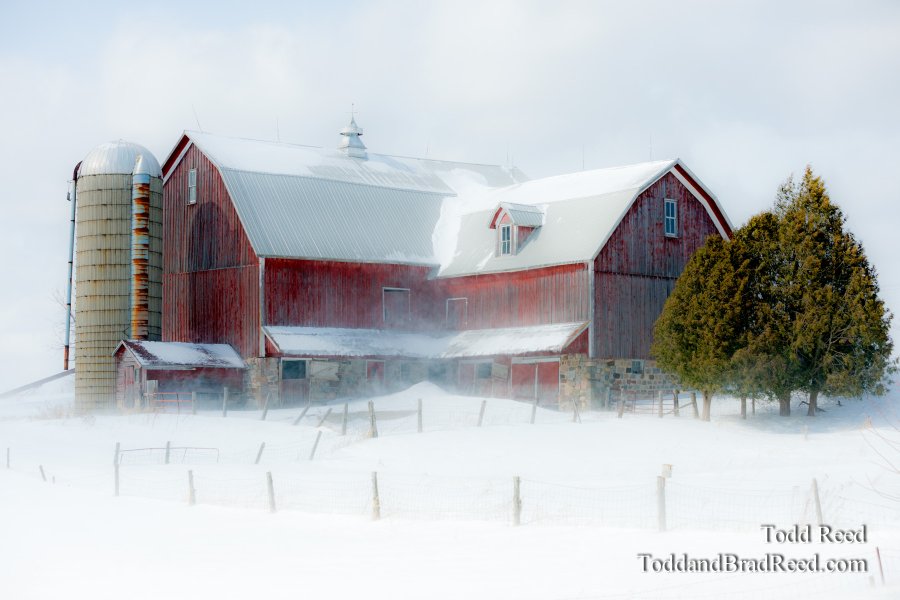 A Mid Winter Day's Dream