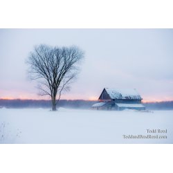 Heart of Winter