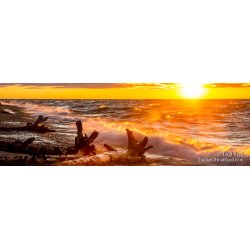Superior Force - Panoramic