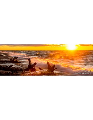 Superior Force - Panoramic