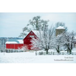 Winter at Olsen Hill