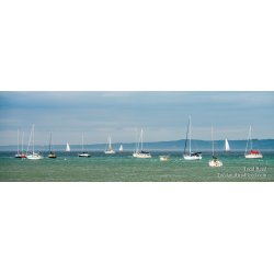 Art on the Bay - Panoramic