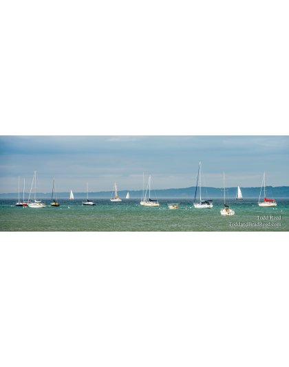 Art on the Bay - Panoramic