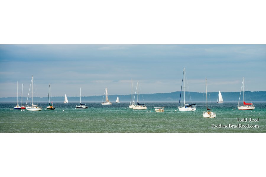 Art on the Bay - Panoramic
