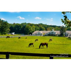 Home on the Ranch