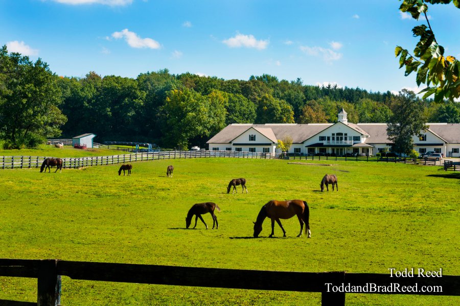 Home on the Ranch