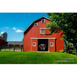 Horse Haven