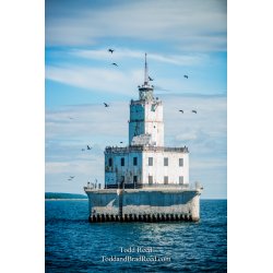 Offshore Birdhouse