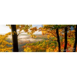Rollaway View - Panoramic