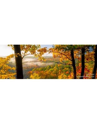 Rollaway View - Panoramic